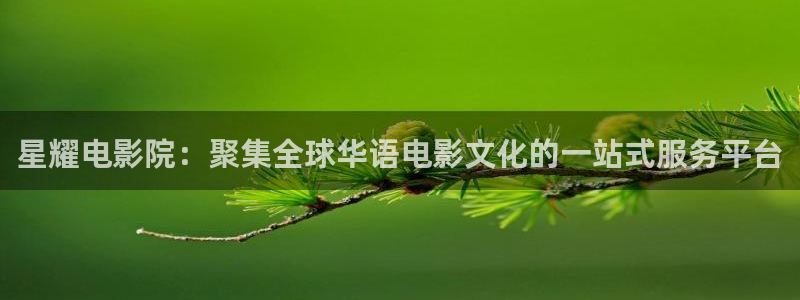 彩虹多多3平台登录注册：星耀电影院：聚集全球华语电影文化的一站式服务平台