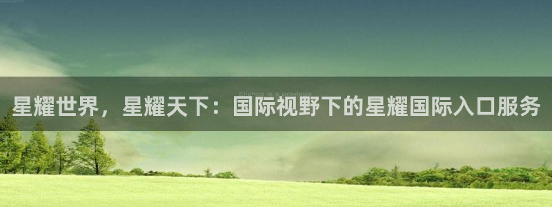 彩虹多多招商：星耀世界，星耀天下：国际视野下的星耀国际入口服务