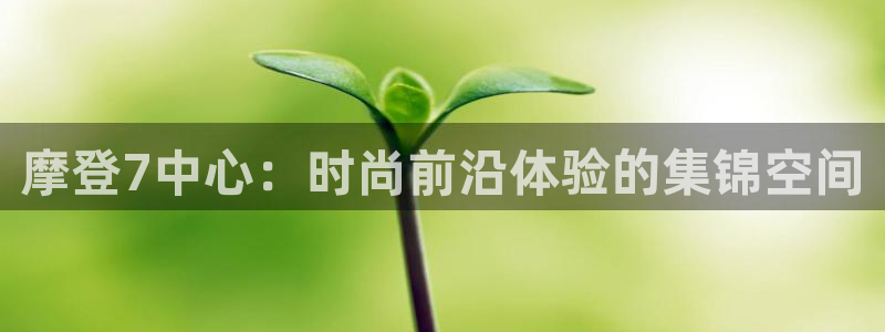彩虹多多体育代理申请流程：摩登7中心：时尚前沿体验的集锦空间