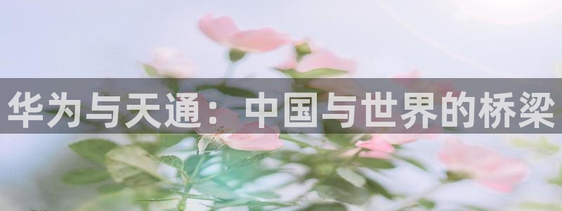 彩虹多多体育老板是谁：华为与天通：中国与世界的桥梁