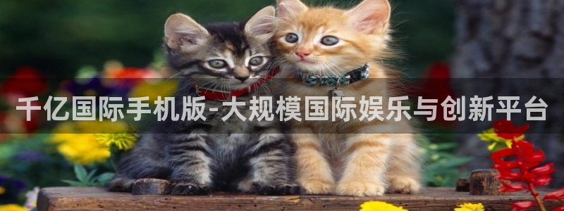 彩虹多多体育凯捷平台代理：千亿国际手机版-大规模国际娱乐与创新平台
