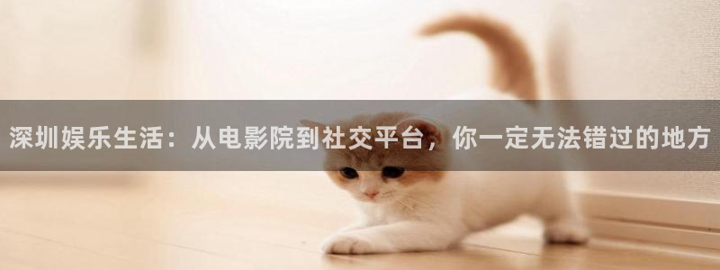 彩虹多多vk：深圳娱乐生活：从电影院到社交平台，你一定无法错过的地方