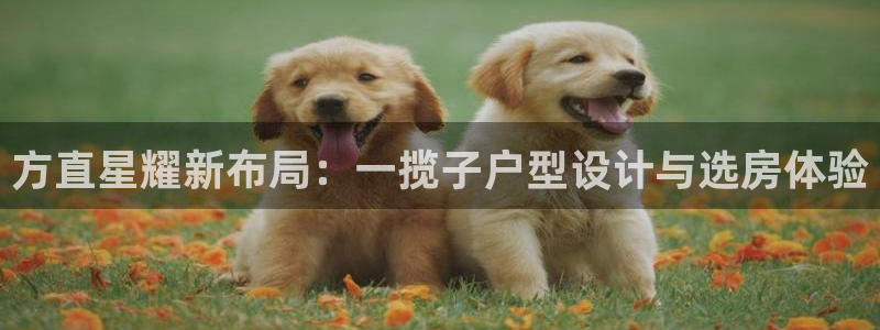 彩虹多多平台官网：方直星耀新布局：一揽子户型设计与选房体验