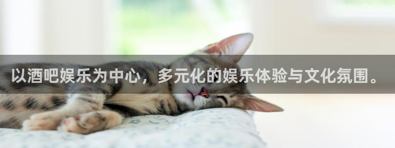 彩虹多多4代理：以酒吧娱乐为中心，多元化的娱乐体验与文化氛围。