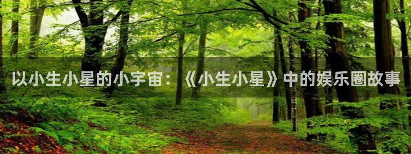 成都彩虹多多电子有限公司：以小生小星的小宇宙：《小生小星》中的娱乐圈故事