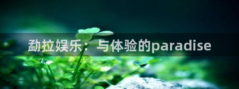 彩虹多多体育2：勐拉娱乐：与体验的paradise