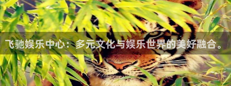 彩虹多多平台注册：飞驰娱乐中心：多元文化与娱乐世界的美好融合。