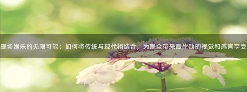 彩虹多多凯捷平台：现场娱乐的无限可能：如何将传统与现代相结合，为观众带来最生动的