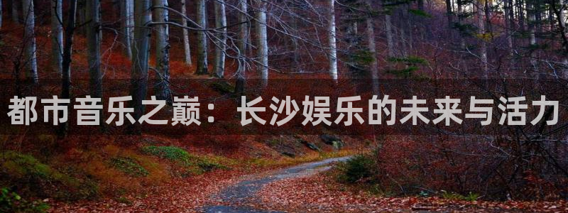 彩虹多多包怎么样：都市音乐之巅：长沙娱乐的未来与活力