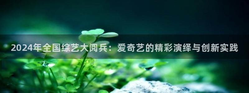 彩虹多多2登录地址：2024年全国综艺大阅兵：爱奇艺的精彩演绎与创新实践