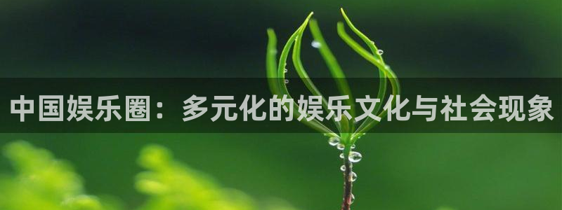 彩虹多多：中国娱乐圈：多元化的娱乐文化与社会现象