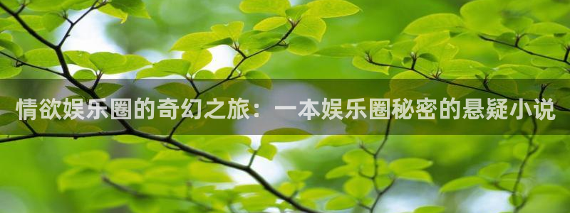 彩虹多多体育官网入口登录：情欲娱乐圈的奇幻之旅：一本娱乐圈秘密的悬疑小说