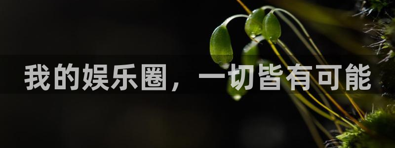 彩虹多多体育合法嘛：我的娱乐圈，一切皆有可能