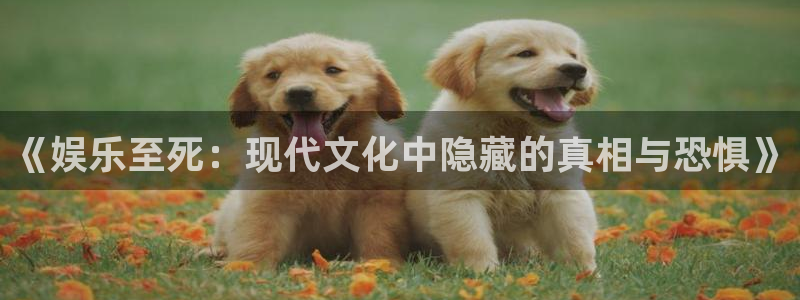 彩虹多多kgame：《娱乐至死：现代文化中隐藏的真相与恐惧》