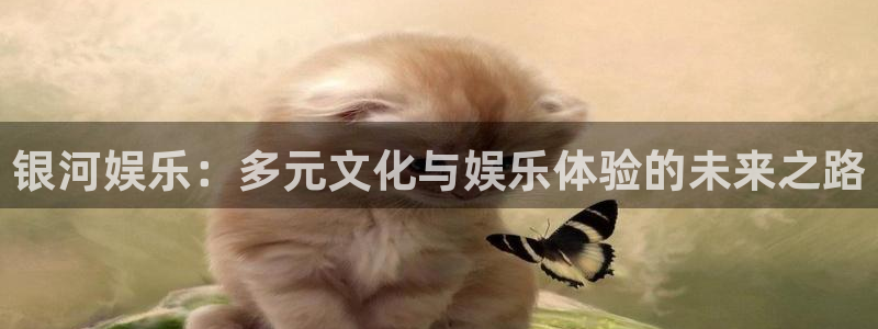 彩虹多多体育平台开号链接：银河娱乐：多元文化与娱乐体验的未来之路