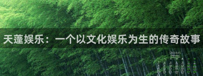 上海彩虹多多汽车电子有限公司：天蓬娱乐：一个以文化娱乐为生的传奇故事