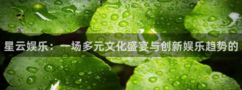 彩虹多多集团总部：星云娱乐：一场多元文化盛宴与创新娱乐趋势的