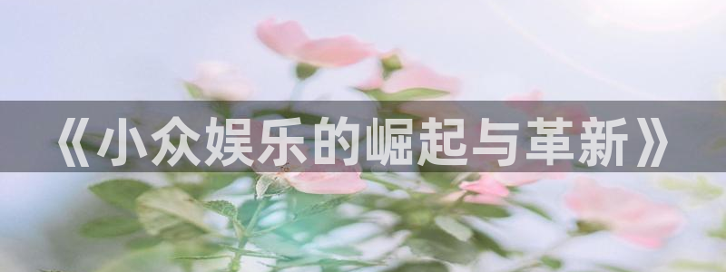 彩虹多多3：《小众娱乐的崛起与革新》
