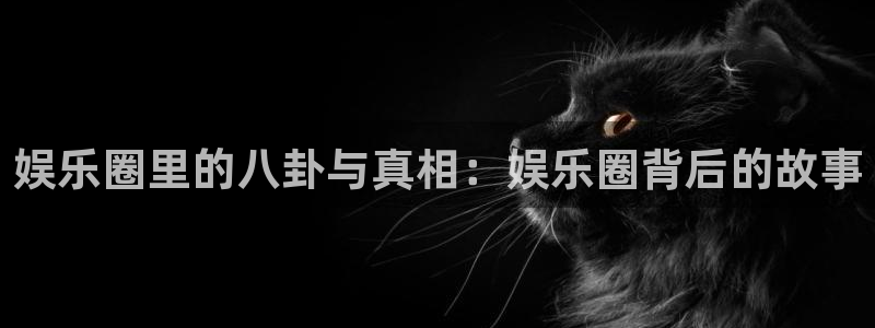 彩虹多多4：娱乐圈里的八卦与真相：娱乐圈背后的故事