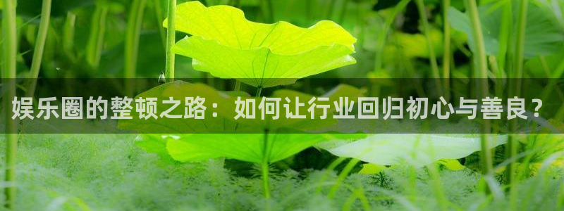 彩虹多多平台注册入口：娱乐圈的整顿之路：如何让行业回归初心与善良？