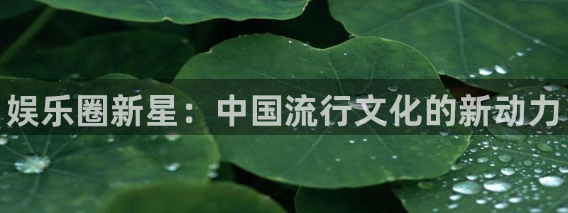 彩虹多多凯捷平台：娱乐圈新星：中国流行文化的新动力