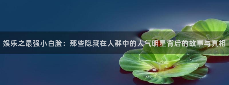 彩虹多多主管：娱乐之最强小白脸：那些隐藏在人群中的人气明星背后的故事与真相