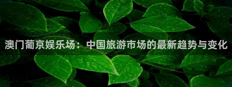 彩虹多多官网：澳门葡京娱乐场：中国旅游市场的最新趋势与变化