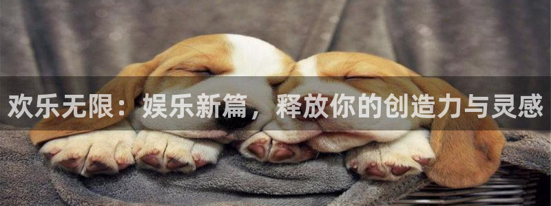 彩虹多多体育注册平台：欢乐无限：娱乐新篇，释放你的创造力与灵感