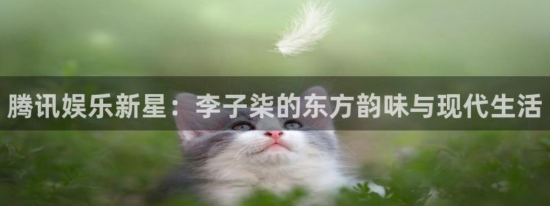 彩虹多多5招商：腾讯娱乐新星：李子柒的东方韵味与现代生活