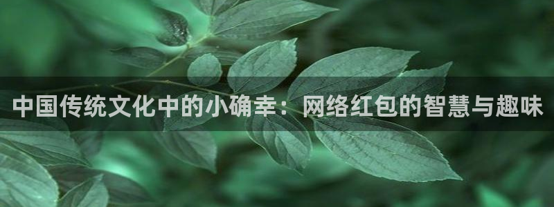 彩虹多多游戏有哪些好玩的：中国传统文化中的小确幸：网络红包的智慧与趣味