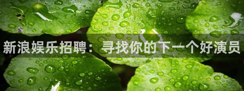彩虹多多体育凯捷平台注册：新浪娱乐招聘：寻找你的下一个好演员